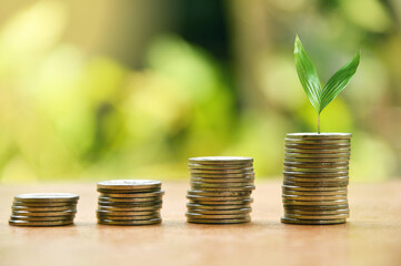Coins stacked on stairs. Trees grow. Blurred background. The orange glow from the morning sunlight. business growth and marketing ideas copy space