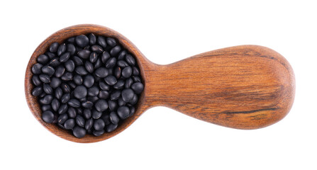 Black lentils in wooden spoon, isolated on white background. Dry beluga lentil grains pile. Top view.