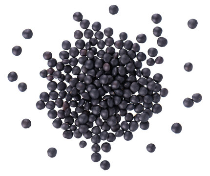 Black lentils isolated on white background. Dry beluga lentil grains pile. Top view.