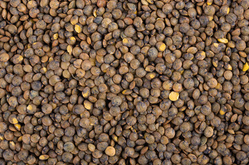 French lentils background. Dry puy lentil grains pile. Top view.