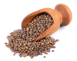 French lentils in wooden scoop, isolated on white background. Dry puy lentil grains pile.