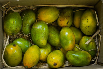 Fresh mangoes packed in box