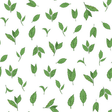 tea leaves vector seamless pattern
