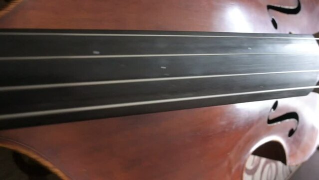 contrabass close-up. slow motion video.