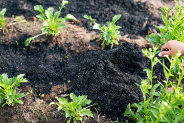 Cultivation, gardening, agriculture and people concepts - people with shovels digging garden beds or farms.