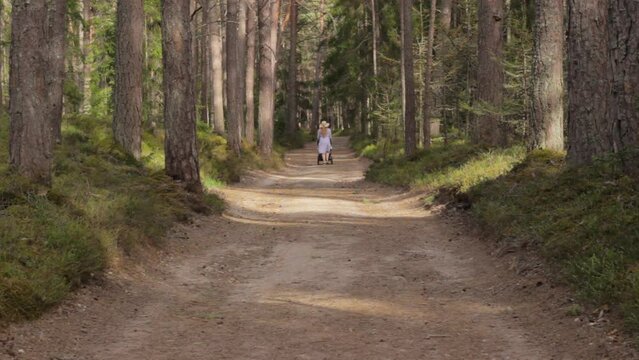 Taking child custody as a single mother strolling woods 