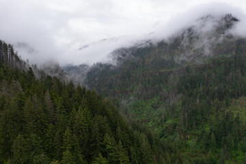 Mist drifts over the extensive forest bordering the Columbia River Gorge in Oregon. The expanse of forests thrive due to the geology, geography, and climate found in this west coast region.