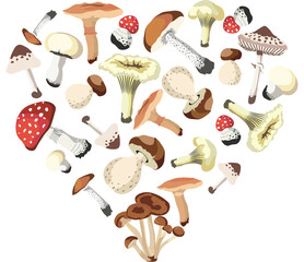  Autumn Mushrooms Compositions  isolated Vector illustration on white background.