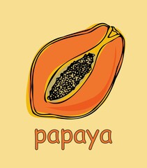 hand-drawn papaya. vector illustration on yellow background