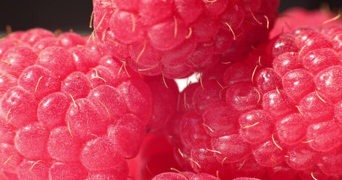 Close-up of fresh raspberries. Beautiful raspberry background. Macro raspberry.