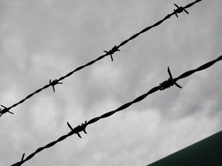 Barbed wire on the fence. Slovakia	