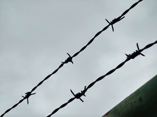 Barbed wire on the fence. Slovakia	