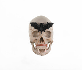 vampire skull isolated on white background