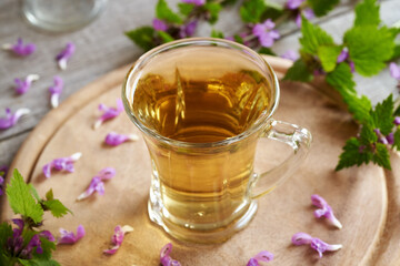 A cup of purple dead-nettle tea with fresh blooming plant