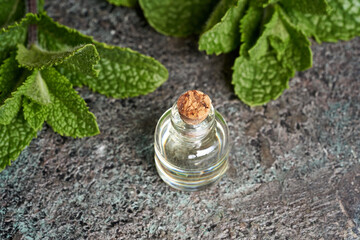 A bottle of peppermint essential oil with fresh peppermint leaves
