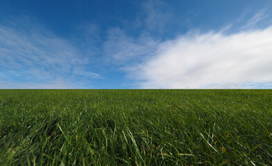 landscape with meadow and sky