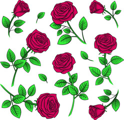 Vector Vintage Red Roses Set