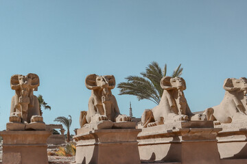 Obraz premium The temple complex of Karnak in Luxor.