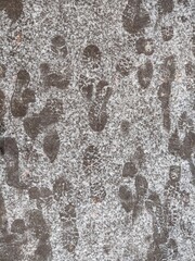 People footprints and steps in the snow, chaotic. Slovakia