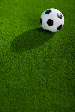 One football soccer ball on a green grass field
