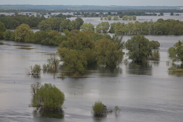 Spring Flood On The Desna River. Mezynsky National Nature Park, Chernihiv Region, Ukraine