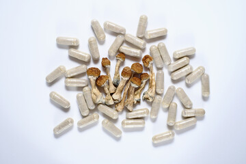 Micro dosing concept. Dry psilocybin mushrooms and natural herbal pills on grey background....