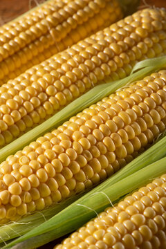 Closeup of fresh organic corn