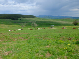 La Godivelle - C&eacute;zallier