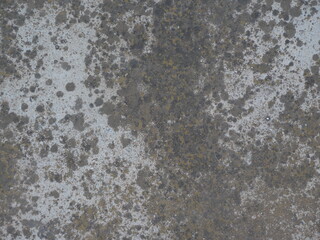 cemento hormigon textura material  
