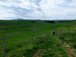 La Godivelle - C&eacute;zallier