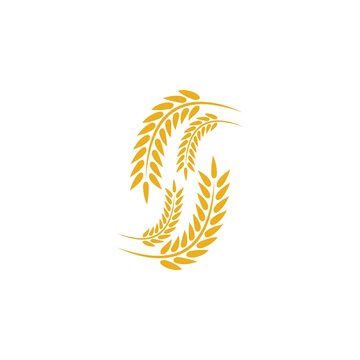 Wheat logo vector icon illustration