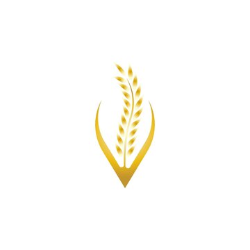 Wheat logo vector icon illustration