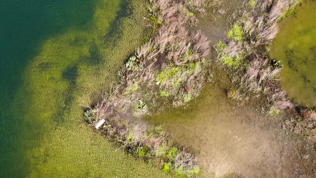 Aerial Shot Of Lake Island In Norfolk Carp Fish.