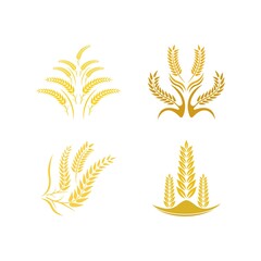 Wheat logo vector icon illustration