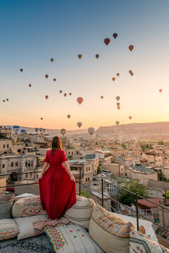 wonderland