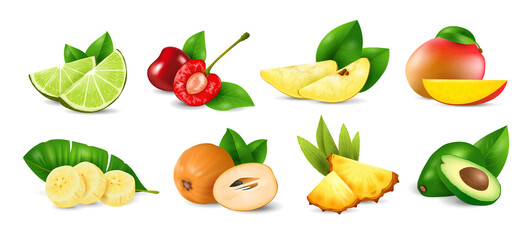 Set of Exotic Fruits, realistic design vector illustration