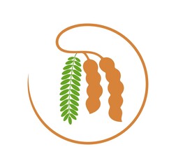 Tamarind logo. Isolated tamarind on white background
