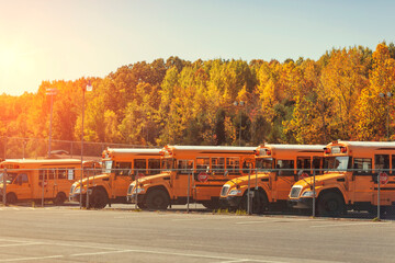School buses parked at a school bus depot in the fall - 508052890