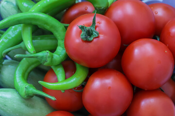 Pumpkins and tomatoes and peppers in the background