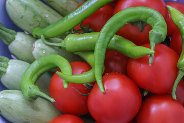 Pumpkins and tomatoes and peppers in the background