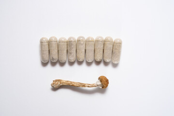 Micro dosing concept. Dry psilocybin mushroom and natural herbal pills on white background. Psychedelic magic mushroom as medical supplement.