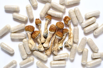 Micro dosing concept. Dry psilocybin mushrooms and natural herbal pills on white background....