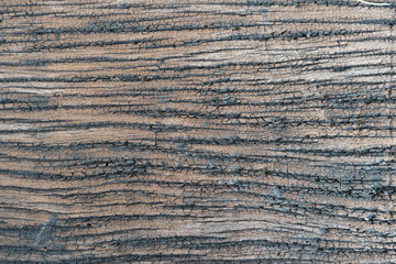close up on old wood pattern