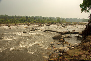 beautiful Murti river after heavy rain fall