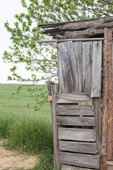 Old wooden barn door. wooden shed