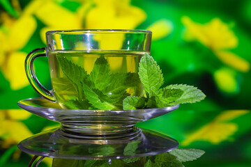 Cups of tea with fresh mint on green yellow background