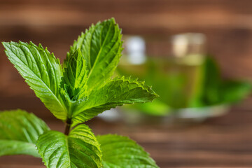 Fresh mint leaves on the wooden background and cup of tea with mint