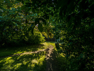 path in the park