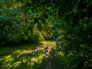 footpath in the park