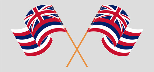 Crossed and waving flags of The State Of Hawaii